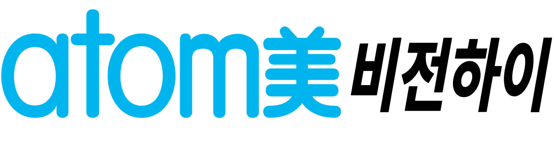 애터미 비전하이