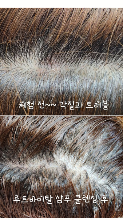 2510U-김백화님의 다파활동 공유
