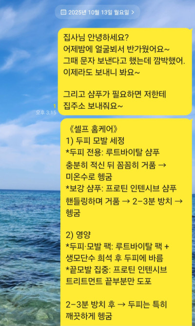 2510U-염영옥님의 다파활동 공유